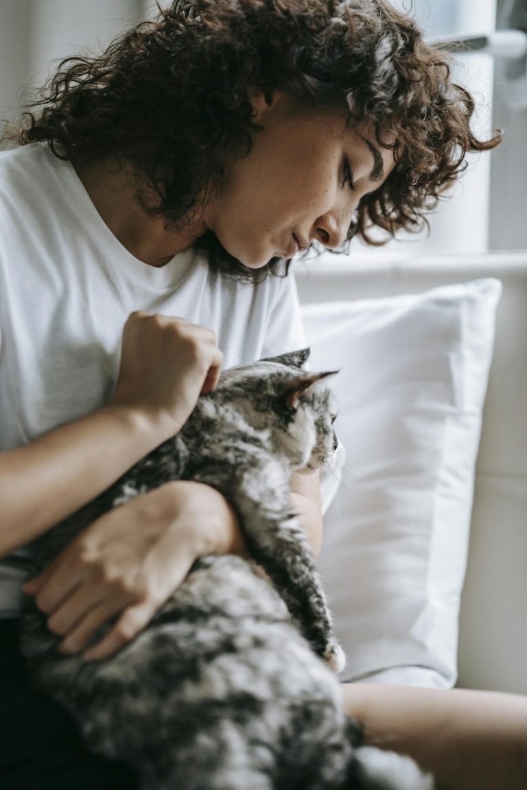 Young female in casual outfit sitting on bed near pillow and stroking cute fluffy cat